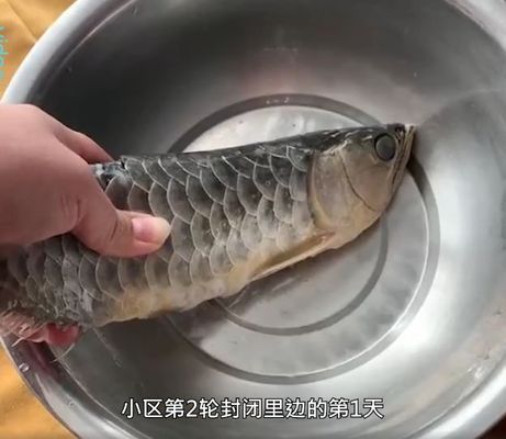 金龍魚的味道怎么樣好聞嗎：金龍魚產(chǎn)品健康成分解析 龍魚百科 第3張