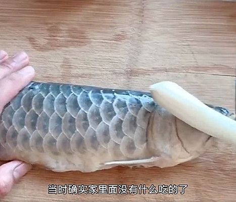 金龍魚的味道怎么樣好聞嗎：金龍魚產(chǎn)品健康成分解析 龍魚百科 第2張