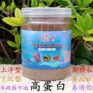 龍魚哪個(gè)品種價(jià)格最貴的魚最好養(yǎng)：龍魚中最貴的品種是什么，龍魚中哪種最容易飼養(yǎng)和照料 水族問(wèn)答 第1張