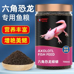 六角恐龍魚吃啥飼料：六角恐龍魚飼料及牌子 龍魚百科 第3張