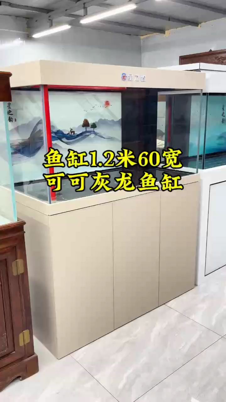 魚缸1.2米60寬魚缸水族箱，輕奢風(fēng)格魚：1.2米60厘米高魚缸，輕奢風(fēng)格魚缸