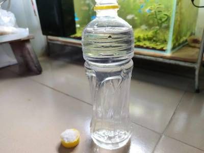 龍魚配合飼料喂什么好一點：喂食龍魚時需要注意以下幾點以確保龍魚健康發(fā)展的關鍵 水族問答 第2張