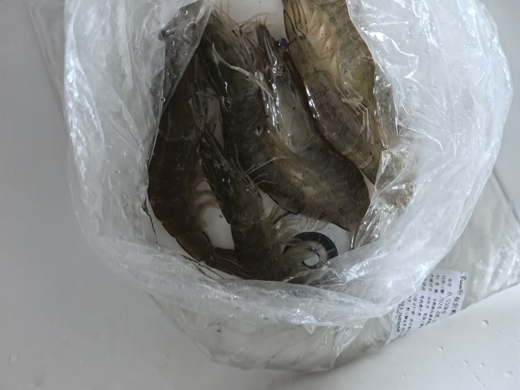 自己動(dòng)手，制作魚糧：soeasy…新鮮的大蝦買回來又可以喂2個(gè)月了 觀賞魚論壇 第1張