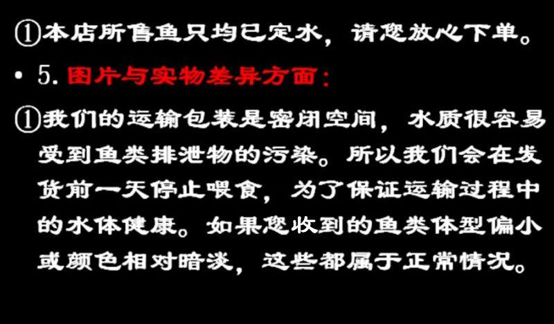 龍魚批發(fā)市場地址電話號碼是多少：龍魚批發(fā)市場在哪里可以找到？ 水族問答 第2張