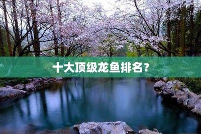 龍魚全圖：關(guān)于龍魚的詳細(xì)介紹 水族問答 第2張