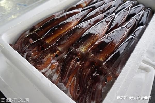 龍魚入新缸兩天吃食了正常嗎：新魚缸的水是否已經(jīng)穩(wěn)定，龍魚在兩天內(nèi)吃食了是否正常 水族問答 第2張