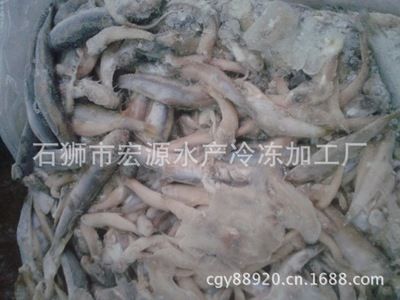 金鼓魚繁殖飼料搭配技巧：金鼓魚的繁殖飼料搭配技巧 非洲金鼓魚 第5張