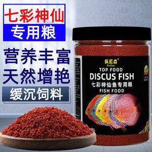 埃及神仙魚最佳飼料配方：埃及神仙魚的最佳飼料配方 埃及神仙魚 第4張