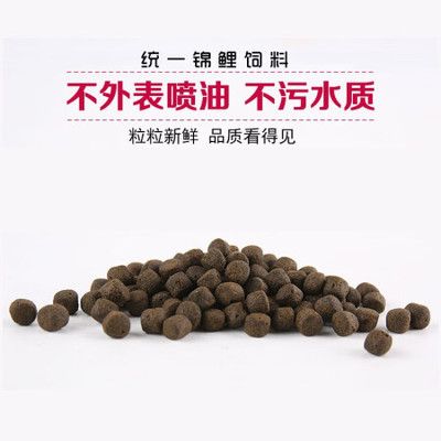 龍魚什么時(shí)候吃食：關(guān)于龍魚的飲食管理 水族問答 第2張