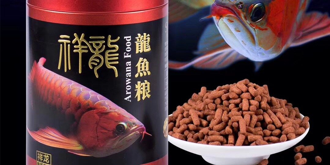 紅龍魚增色秘籍，祥龍魚場紅龍魚專用飼料：祥龍魚場紅龍魚專用飼料