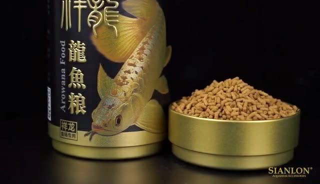 金龍魚魚糧飼料批發(fā)：金龍魚魚糧批發(fā) 金龍魚