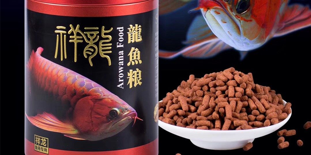 祥龍紅龍魚糧-龍魚飼料：祥龍紅龍魚糧龍魚飼料