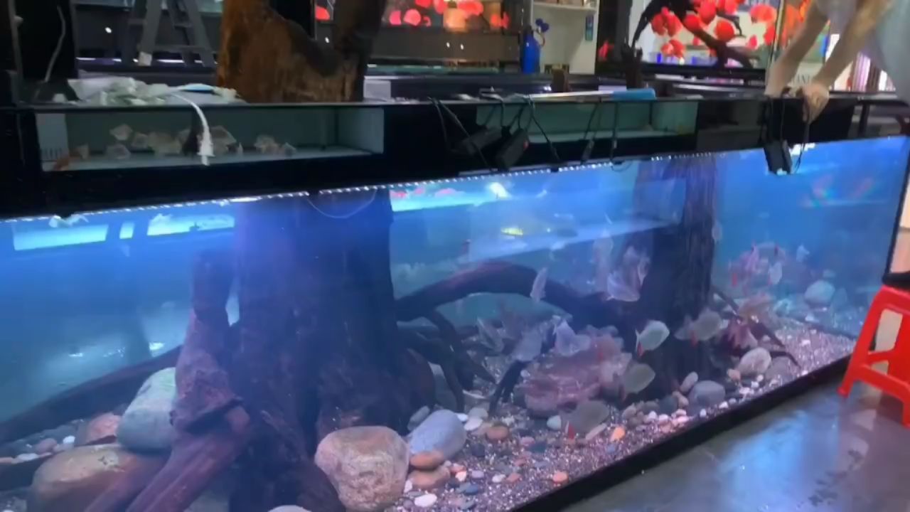 水族箱地缸定制：水族箱地缸定制設計