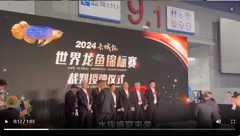 2024“長(zhǎng)城杯”龍魚錦標(biāo)賽冠軍魚只：2024“長(zhǎng)城杯”龍魚錦標(biāo)賽冠軍魚