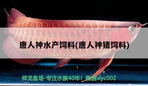 元寶鳳凰魚繁殖期飼料品牌推薦：元寶鳳凰魚繁殖期飼料選擇 薩伊藍魚 第6張