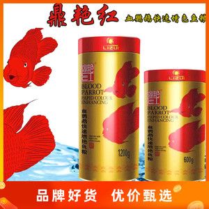 元寶鳳凰魚專用魚糧品牌推薦：元寶鳳凰魚專用魚糧品牌 薩伊藍魚 第5張