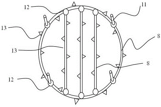 自然水體增氧技術(shù)應(yīng)用案例：微孔增氧技術(shù)和微孔管道增氧技術(shù)對水產(chǎn)品質(zhì)量的影響 其他寵物 第2張