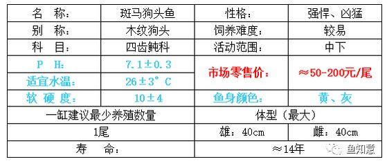 狗頭魚適宜水溫范圍：狗頭魚最佳養(yǎng)殖水環(huán)境，狗頭魚飼料選擇指南 斑馬狗頭魚 第5張