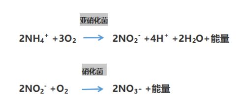 化學(xué)沉淀法去除氨氮原理：化學(xué)沉淀法去除氨氮的具體原理 其他寵物 第5張