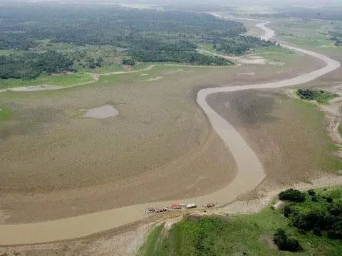 亞馬遜河魚類遷徙研究的最新進展：亞馬遜河流域魚類遷徙的最新研究 巴西亞魚苗 第1張