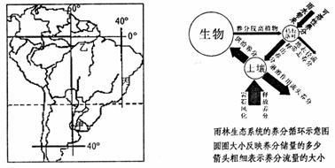 亞馬遜河生態(tài)平衡的關(guān)鍵因素：亞馬遜河流域的生態(tài)平衡 巴西亞魚苗 第3張