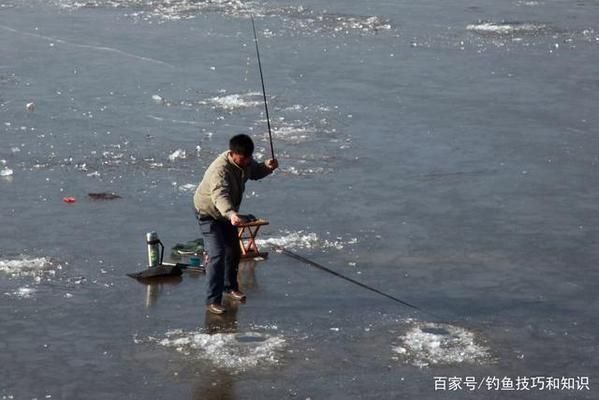 冬季釣鯽魚餌料選擇：冬季釣鯽魚商品餌推薦,紅蟲餌料使用方法推薦 其他寵物 第2張