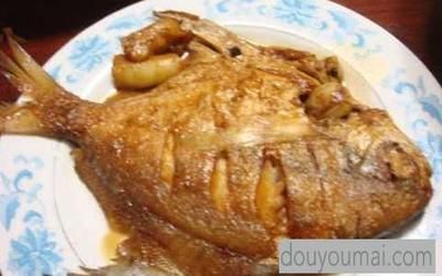 金老虎魚(yú)日常飲食指南：金老虎魚(yú)的日常飲食指南 巴西亞魚(yú)苗 第4張