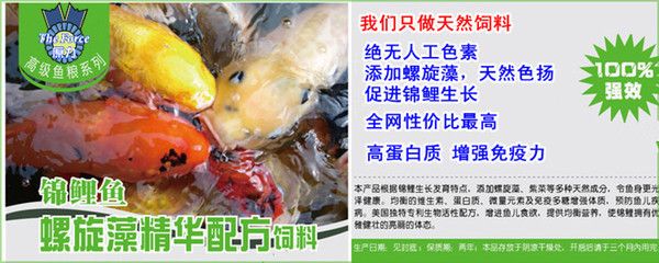 魚糧飼料性價(jià)比排行：統(tǒng)一魚糧用戶評價(jià)匯總 其他寵物 第4張