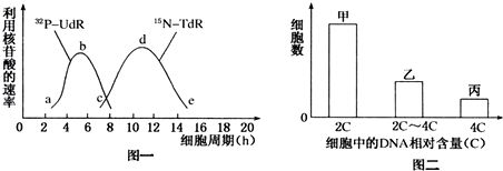 放射性同位素標(biāo)記的安全性：放射性同位素標(biāo)記的安全性始終是一個重要的考量因素 其他寵物 第1張