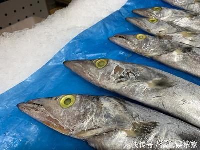 如何挑選新鮮刀魚：秋刀魚保存方法指南,秋刀魚營養(yǎng)價值介紹 其他寵物 第4張