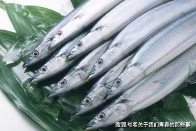 如何挑選新鮮刀魚：秋刀魚保存方法指南,秋刀魚營養(yǎng)價值介紹