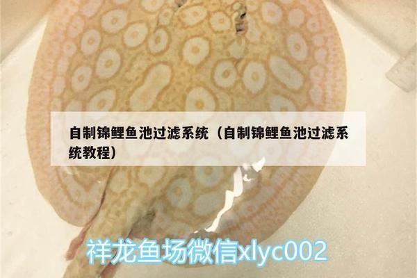 月光鴨嘴魚繁殖飼料配方：月光鴨嘴魚的繁殖飼料配方 其他寵物 第2張