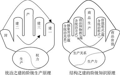 鯊魚繁殖方式的科學(xué)原理：鯊魚的繁殖方式 其他寵物 第5張