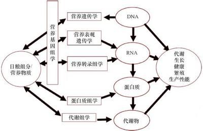 如何診斷魚苗營養(yǎng)代謝?。呼~苗營養(yǎng)代謝病與水質關系，魚苗營養(yǎng)代謝病的鑒別診斷技巧