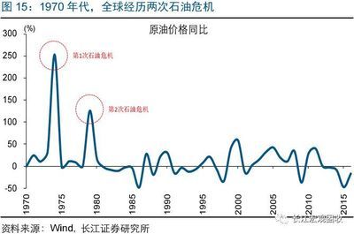 國際油價波動對進(jìn)口的影響：國際油價波動對進(jìn)口的影響是多方面的國際油價波動對進(jìn)口的影響 其他寵物 第1張