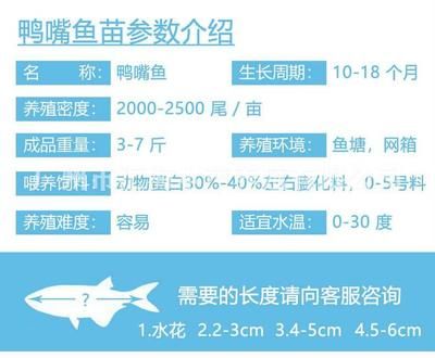 鴨嘴魚生長周期影響因素：鴨嘴魚的生長周期受到哪些因素影響 其他寵物 第4張