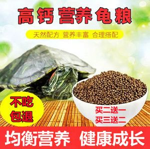 龍魚同游多久配對成功：龍魚在配對成功前需要多長時間來適應(yīng)彼此的存在？ 水族問答 第1張