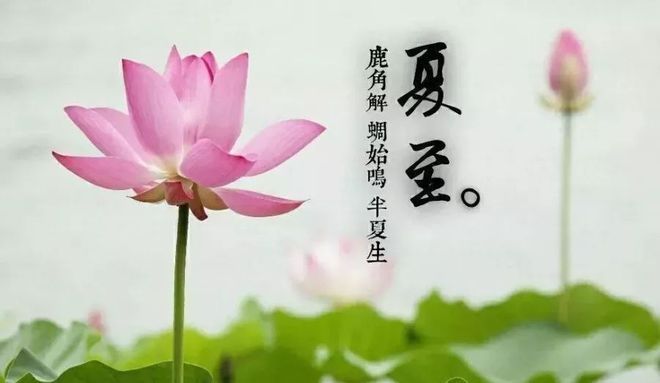 營養(yǎng)代謝病對魚苗生長的影響：營養(yǎng)代謝病對魚肉品質(zhì)的影響 其他寵物 第2張