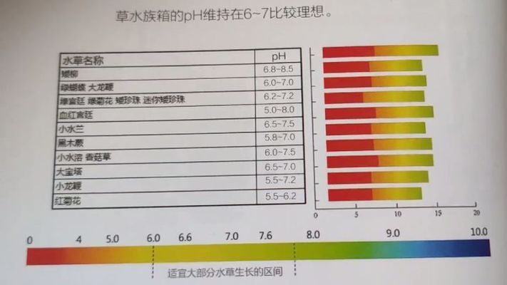 如何檢測(cè)水族箱pH值：水族箱ph值異常怎么辦,ph測(cè)試儀選購(gòu)指南 其他寵物 第2張