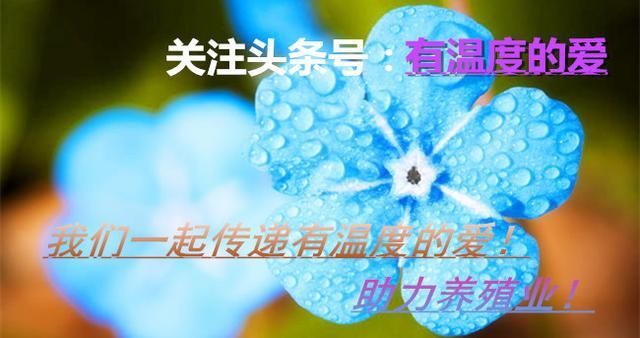 土霉素拌料使用的技術(shù)要點(diǎn)：土霉素拌料的保存方法,