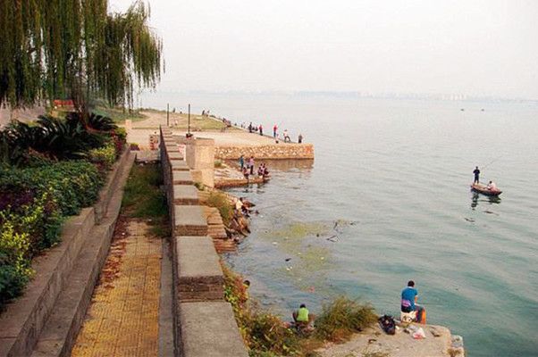 龍魚突然不吃食了是什么原因引起的：龍魚突然不吃食可能由多種因素引起，水質(zhì)問題、環(huán)境變化不良 水族問答 第2張