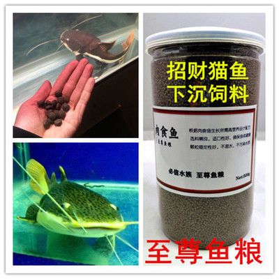 招財(cái)貓魚(yú)苗專(zhuān)用飼料成分分析：招財(cái)貓魚(yú)苗專(zhuān)用飼料成分及牌推薦 其他寵物 第6張