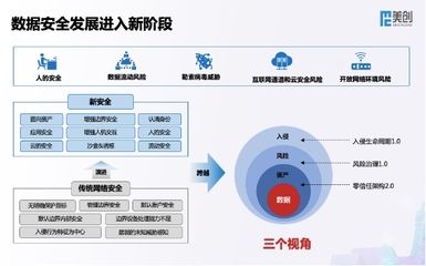 數(shù)字化轉(zhuǎn)型中的數(shù)據(jù)安全問題：數(shù)字化轉(zhuǎn)型中常見的數(shù)據(jù)安全問題及其應(yīng)對策略及其應(yīng)對策略 其他寵物 第5張