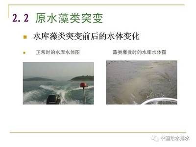 龍魚突然沉底死亡原因分析：龍魚突然沉底死亡可能與以下因素有關 水族問答 第2張