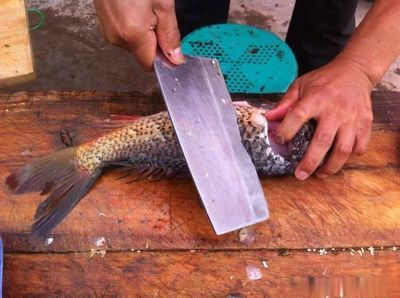 活魚靜養(yǎng)期間飼料選擇：活魚在靜養(yǎng)期間的飼料選擇至關(guān)重要 其他寵物 第4張