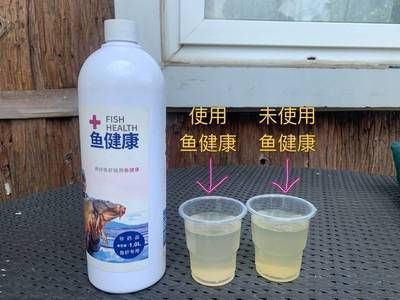 星鉆魚繁殖期常見疾病預防：星鉆魚繁殖期常見疾病預防摘要：星鉆魚繁殖期抗生素使用規(guī)范 其他寵物 第3張