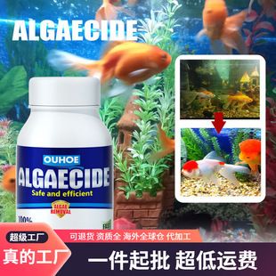 水族箱除藻劑的副作用：水族箱除藻劑使用指南 其他寵物 第5張