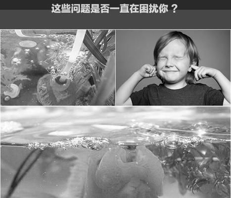 氧氣泵降噪技術原理：利用新型降噪技術對氧氣泵進行降噪處理方法 其他寵物 第2張