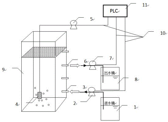 如何建立高效硝化系統(tǒng)：如何建立一個高效穩(wěn)定的硝化系統(tǒng) 其他寵物 第4張