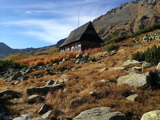 泰國(guó)雪鯽魚(yú)繁殖光照周期：泰國(guó)雪鯽魚(yú)繁殖光照周期是一個(gè)重要的考慮因素